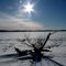 Delta lake in Winter