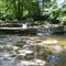 Big Brook