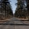 Stretch Road