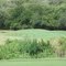 Olympia Hills #5