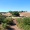 Trail in the Ramona Grasslands Preserve
