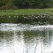 Unnnamed Lake on Garrison Rd