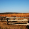 Pea Ridge Battlefield
