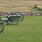 Pea Ridge Battlefield