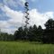 Rusheba Lookout Tower