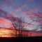 Rock Creek Sunset