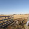 Ranch photo