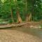 Mingo Creek Park