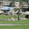 Dwellings (2 of 3) in sandstone Rimrock, Klein, Montana