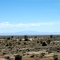 View along highway 264.  Elevation 6800 ft.