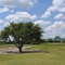 Oakford