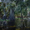 LAKE MYAKKA, FLORIDA