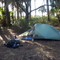 Panther Point Campsite, Myakka River State Park