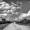 myakka dirt road.