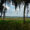 Myakka River State Park