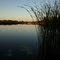 River to Lake of the Woods