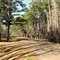 E. Reynolds Drive - Ruston - LA