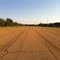 Old Ruston Airport