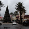 Destin Commons at Christmas time