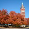 Bell Tower in Fall