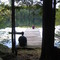 Spring Lake Ranch Dock