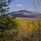 View of Shrewsbury Peak