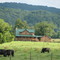 FARM ON THE HOLSTON RIVER SURGOINSVILLE, TN