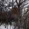 Zeb Gray shelter in Ramsey Park  (RWF, MN)