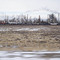 Sinclair Refinery