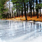 Bull Pond