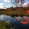Pond