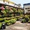 Farm Market