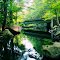 Sunny Brook State Park, Torrington, CT