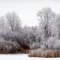 Rigby Winter Scene