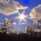 Sunburst