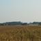 Farm field