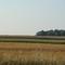 Wisconsin Farm field