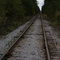 Train tracks outside Watertown