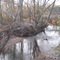 View from bridge at Kenworth Park