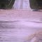 Trapped car on flooded bridge.