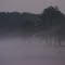 Foggy Beach