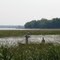 Clam Lake wild rice harvesters