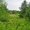 Along the Gandy Dancer State Trail