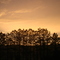 scottsville community