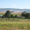 Pastoral view near Ashland, Oregon