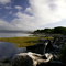 Coquille River Delta