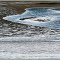 Bandon Marshes - Low Tide (suz)