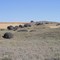 Train of glacial erratic boulders. Dropped by the Okanogan lobe of the Cordilleran Ice Sheet more than 13,000 b.p.