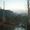 The "swamp" on Cogburn Road on foggy morn