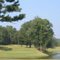 Woodmont #17
